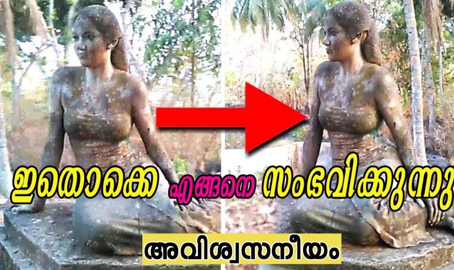 ക്യാമറയിൽ പതിഞ്ഞ, ഭീതിയുണർത്തുന്ന ചലിക്കും ശില്പങ്ങൾ