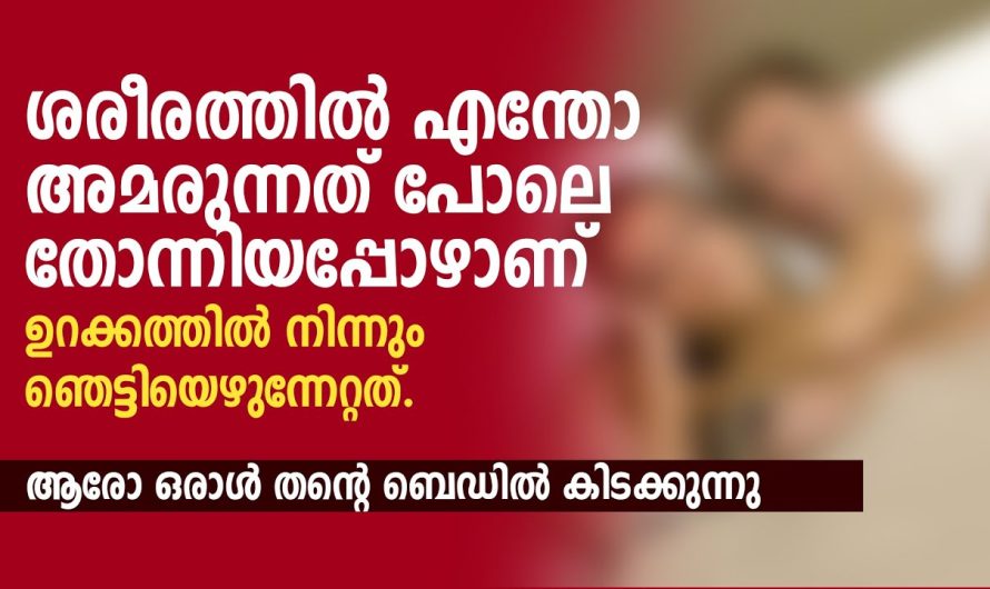 ശരീരത്തിൽ എന്തോ അമരുന്നത് പോലെ തോന്നിയപ്പോഴാണ്