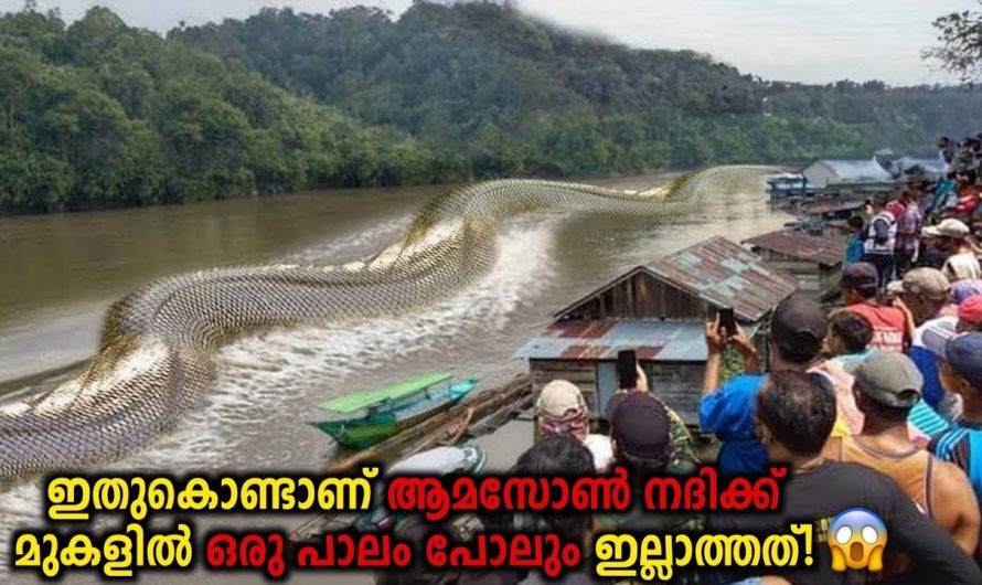 ആമസോൺ നദിക്ക് കുറുകെ പാലം പണിയാത്തത് എന്ത്കൊണ്ട്