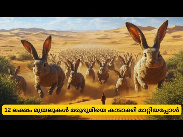 ചൈന മരുഭൂമിയെ വനമാക്കി മാറ്റിയത് എങ്ങനെ