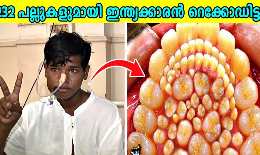 നിങ്ങൾ ഇതുവരെ കാണാത്ത അതിശയിപ്പിക്കുന്ന കാര്യങ്ങൾ