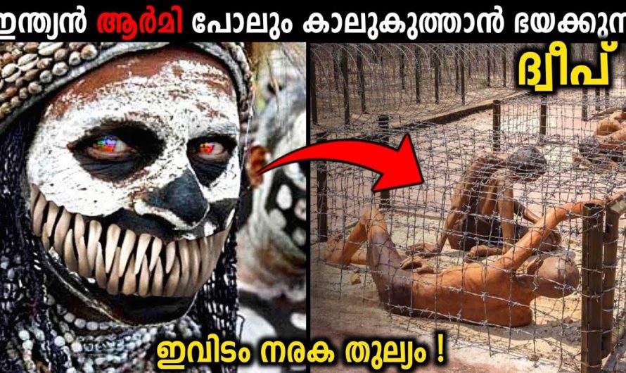ലോകത്തിലെ ഏറ്റവും അപകടം നിറഞ്ഞ ദ്വീപ്