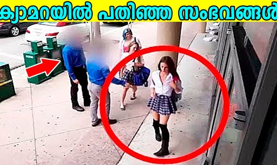 ക്യാമറയിൽ പതിഞ്ഞ സംഭവങ്ങൾ