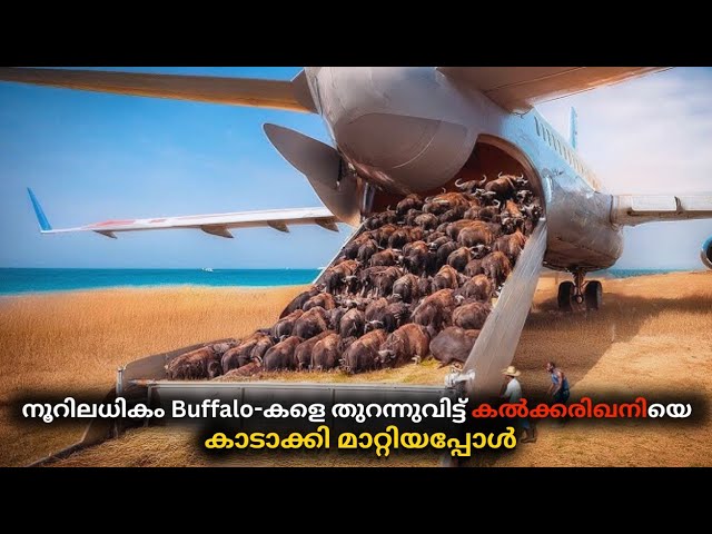 പിന്നീട് സംഭവിച്ചത്…😱