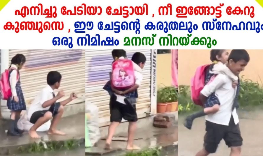 ഈ ചേട്ടന്റെ സ്നേഹത്തിന് മുന്നിൽ മനസ് നിറയും