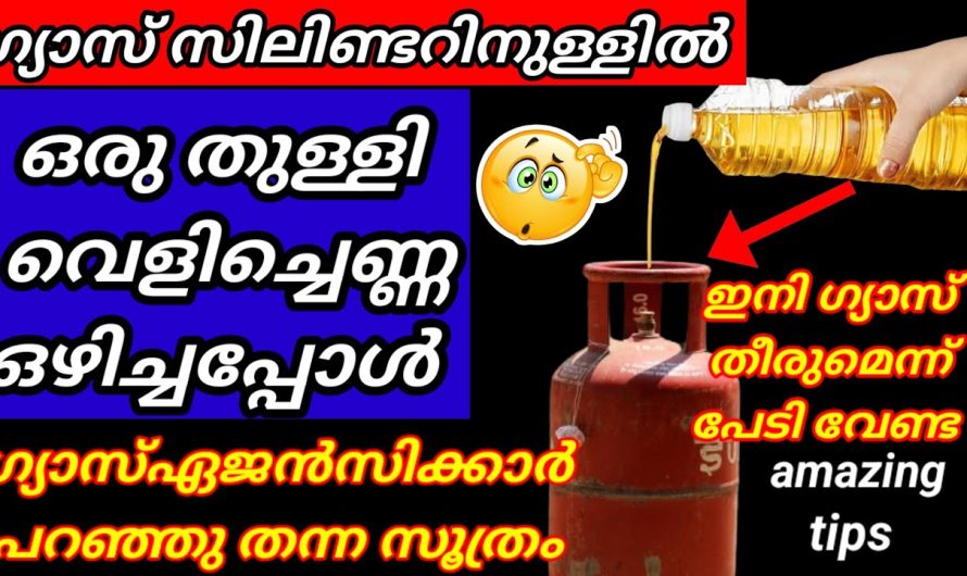 വീട്ടിലെ ഗ്യാസ് നാലുമാസം വരെ ലാഭിക്കാനുള്ള അടിപൊളി ടിപ്സുകൾ പരിചയപ്പെടാം..