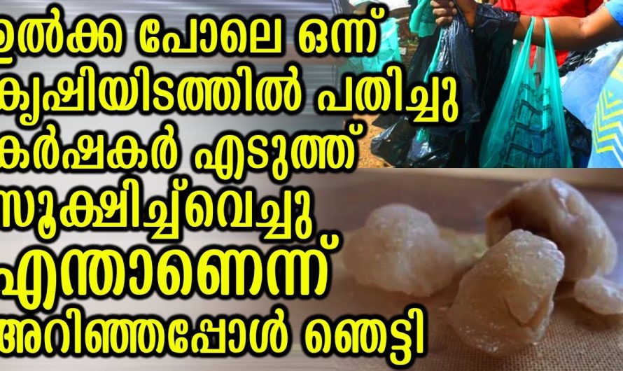 ആകാശത്തുനിന്നും ഗോതമ്പ് പാടത്തിലേക്ക് പതിച്ച വസ്തുകണ്ട് കർഷകൻ ഞെട്ടി..