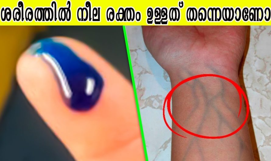 സ്കൂളിൽ പഠിപ്പിച്ച ഈ തെറ്റുകൾ ഇപ്പോഴും വിശ്വസിക്കുന്നോ