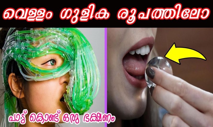 ഭാവിയിൽ കഴിക്കേണ്ടി വരുന്ന ഭക്ഷണങ്ങൾ