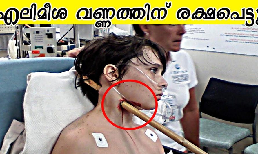 ക്യാമെറയിൽ പതിഞ്ഞ അത്ഭുതകരമായി ജീവൻ രക്ഷപെട്ട ആളുകൾ