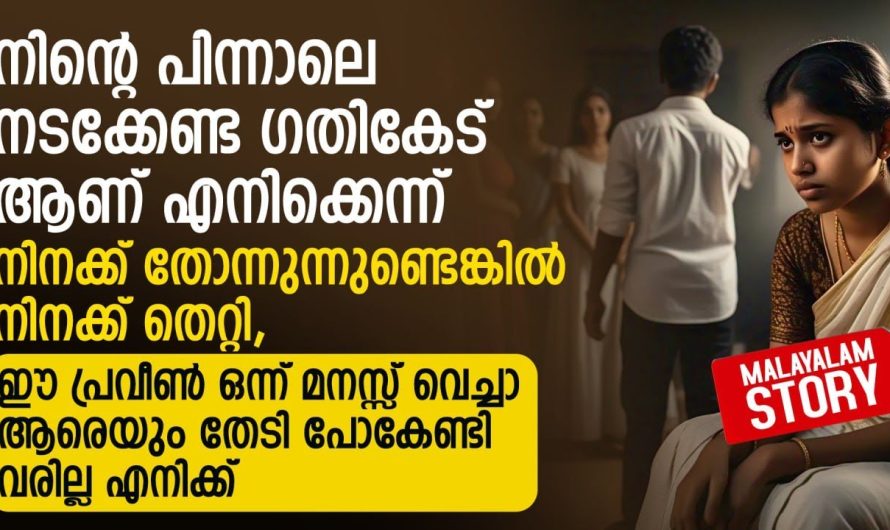ഒരു ചെറുമോഹം, എഴുതിയത് അനു