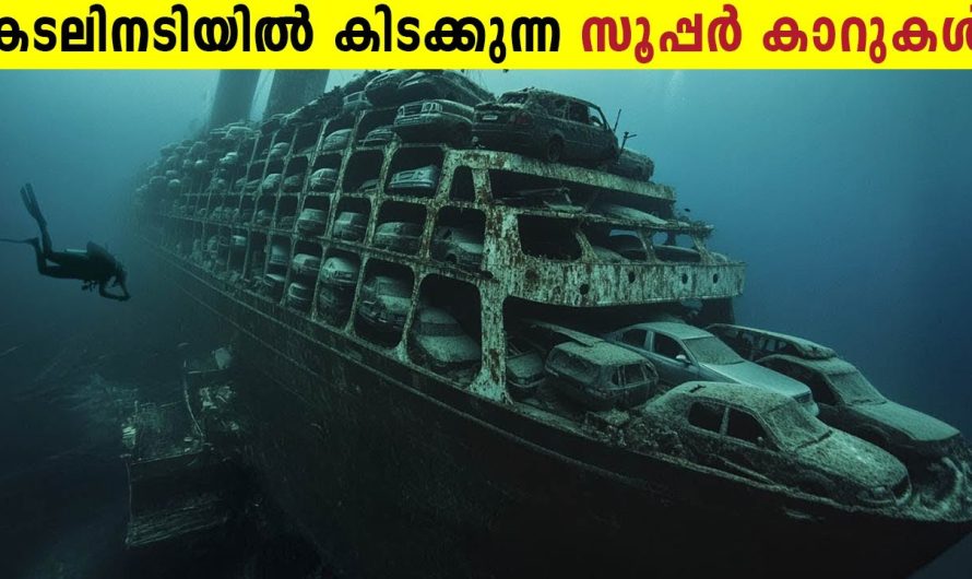 കാടിനുള്ളിലെ മിന്നൽ മെഷീൻ | കടലിനടിയിൽ ട്രെയിൻ