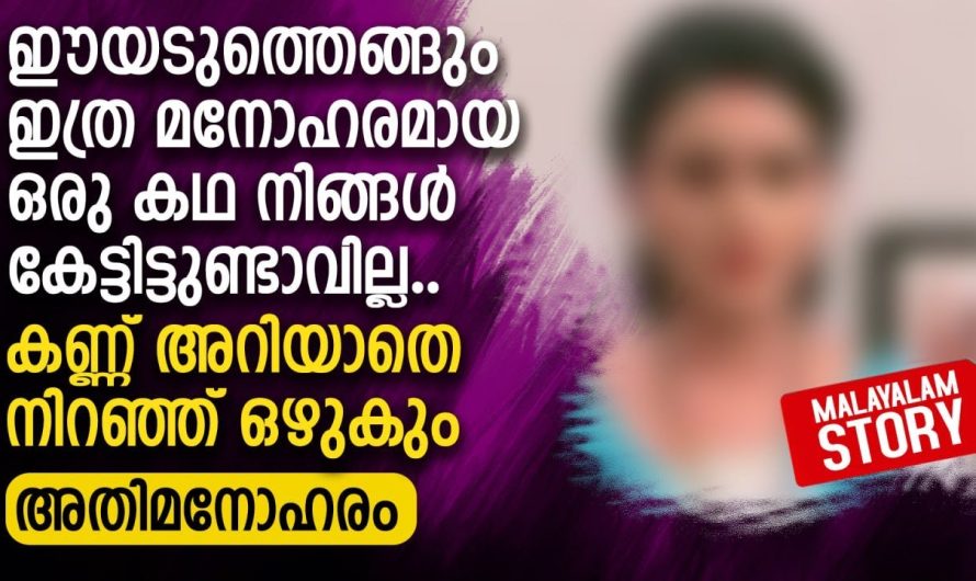 ഇത്ര മനോഹരമായ ഒരു കഥ നിങ്ങൾ കേട്ടിട്ടുണ്ടാവില്ല