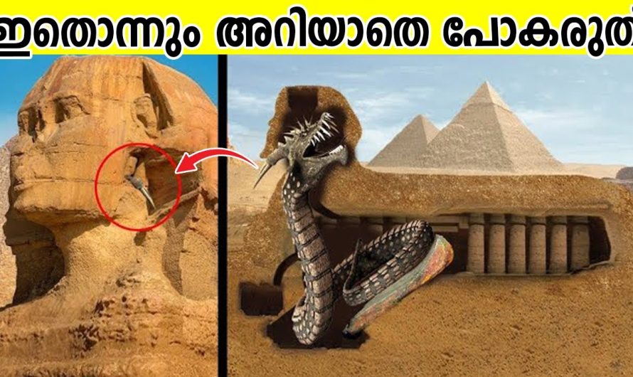 ലോകത്തിലെ ഏറ്റവും ആവശ്യമുള്ള 10 നഷ്ടപ്പെട്ട വസ്തുക്കൾ