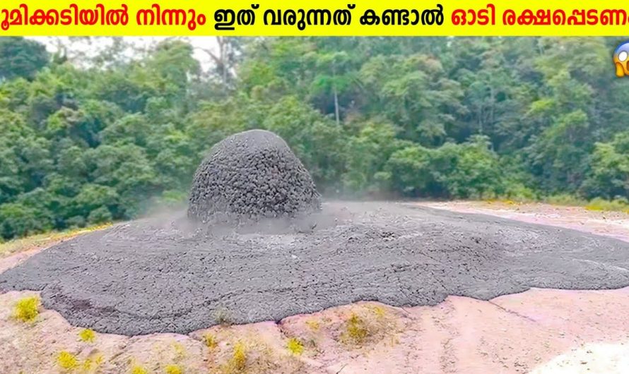 ഈ വീഡിയോ നിങ്ങളുടെ ജീവൻ രക്ഷിച്ചേക്കും!⚠️