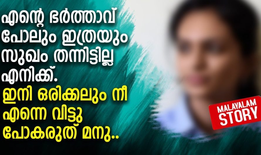 അവൾ അകത്തൊന്നും ഇട്ടിട്ടില്ലെന്ന് മനുവിന് മനസ്സിലായി