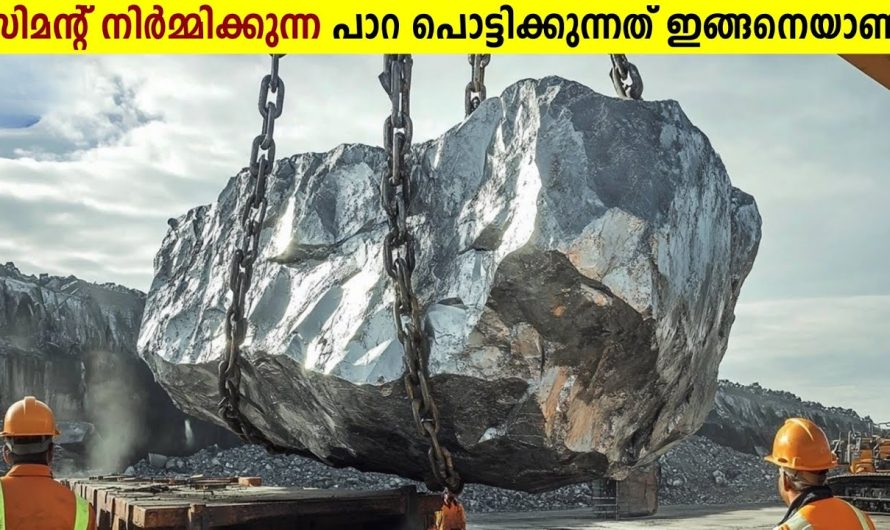 സിമന്റ് നിർമ്മാണ Factory ലെ അത്ഭുത കാഴ്ചകൾ!😱