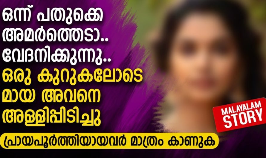 ഒന്ന് പതുക്കെ അമർത്തെടാ.. ഒരു കുറുകലോടെ മായ അവനെ അള്ളിപ്പിടിച്ചു