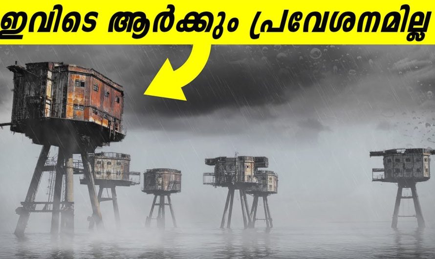 ഇത് ജീവിയോ അതോ കെട്ടിടമോ? കാലു കുത്താൻ ആർക്കും ധൈര്യമില്ലാത്ത ദ്വീപ്