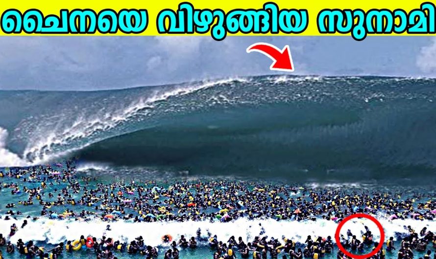 ലോകത്തിലെ ഏറ്റവും അപകടകരമായ 10 പ്രകൃതി പ്രതിഭാസങ്ങൾ