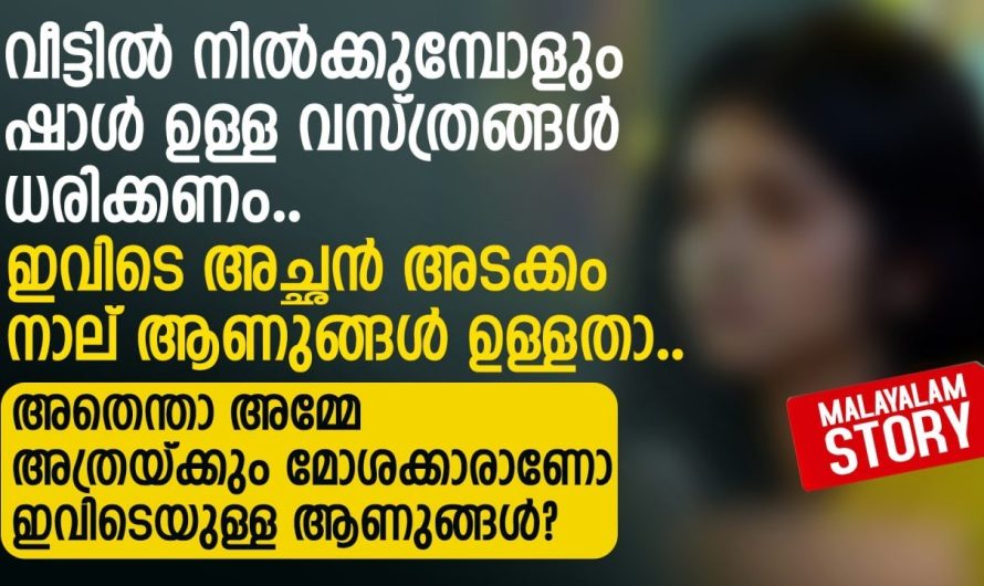 ഇത്ര തുണി എന്തിനാ ചേച്ചി കല്ലിൽ ഇട്ട് അലക്കുന്നത് മെഷീനിൽ ഇട്ടാ പോരെ