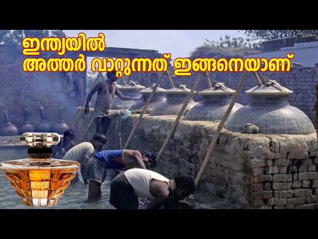 കനൗജ് അത്തറുകൾ വാറ്റുന്നത് ഇങ്ങനെയാണ് |
