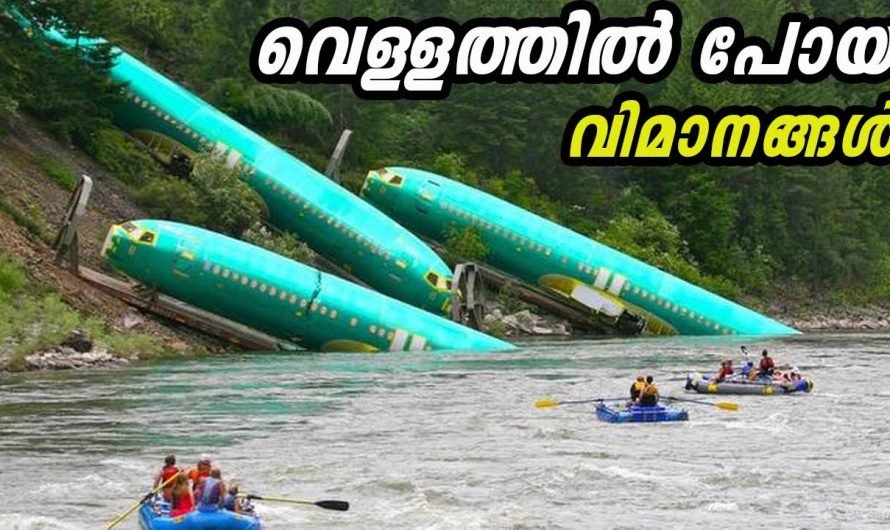 വലിയ വില കൊടുക്കേണ്ടി വന്ന അബദ്ധങ്ങൾ…. ഇങ്ങനെയൊക്കെ മണ്ടത്തരം കാണിക്കാമോ