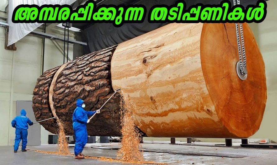 മരകഷ്ണത്തിൽ കരവിരുത് സൃഷ്ടിക്കുന്നവരെ കണ്ടിട്ടുണ്ടോ ?