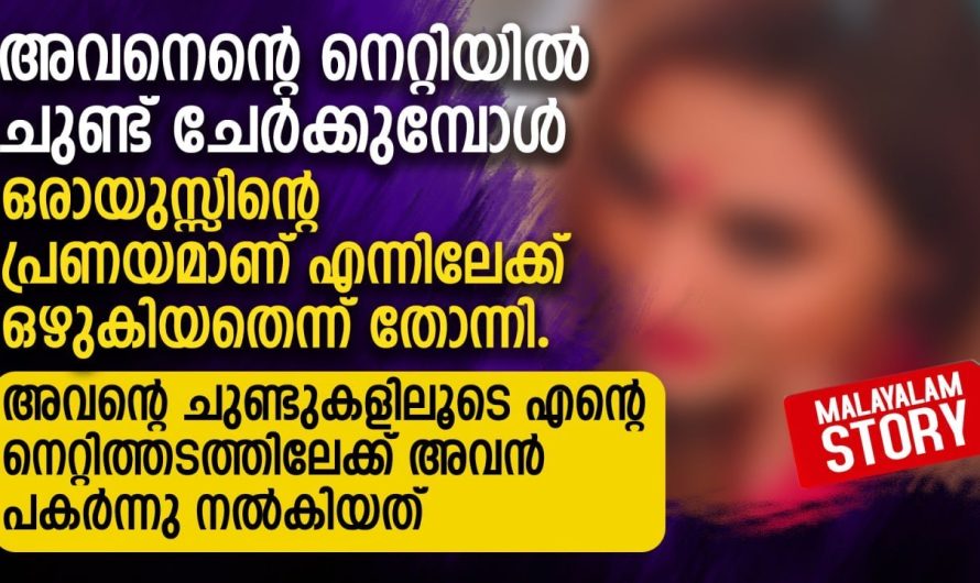 ഒരായുസ്സിന്റെ പ്രണയമാണ് എന്നിലേക്ക് ഒഴുകിയതെന്ന് തോന്നി